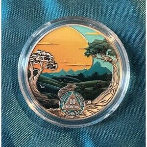 AA 10 Month Sobriety Coin Recovery Addiction NA AA Chip
